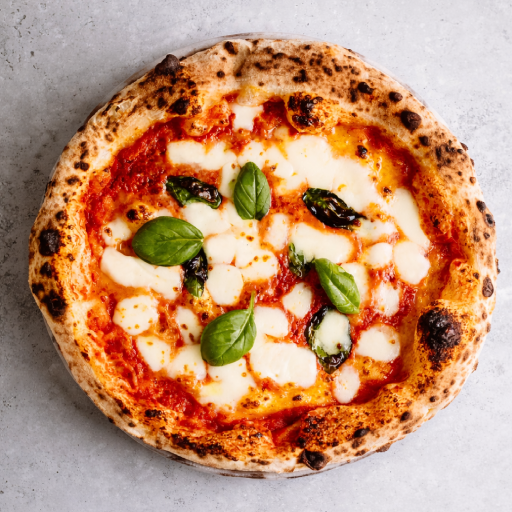 Picture of the author